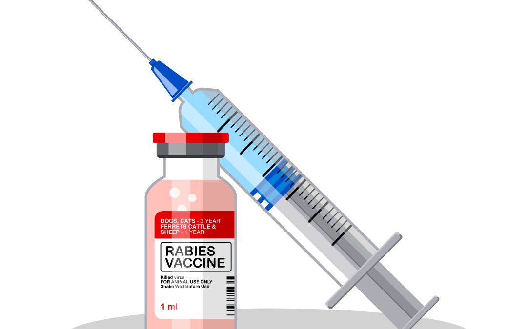 Rabies results from Oxford University trial