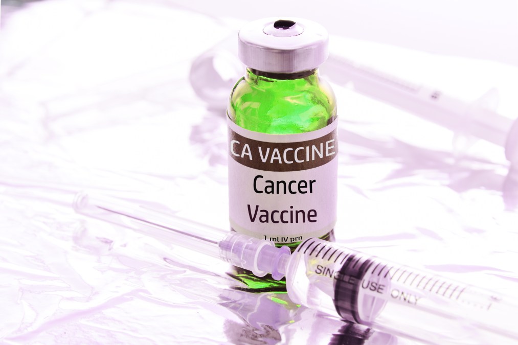 Fighting hidden threats: vaccines against cancer? 