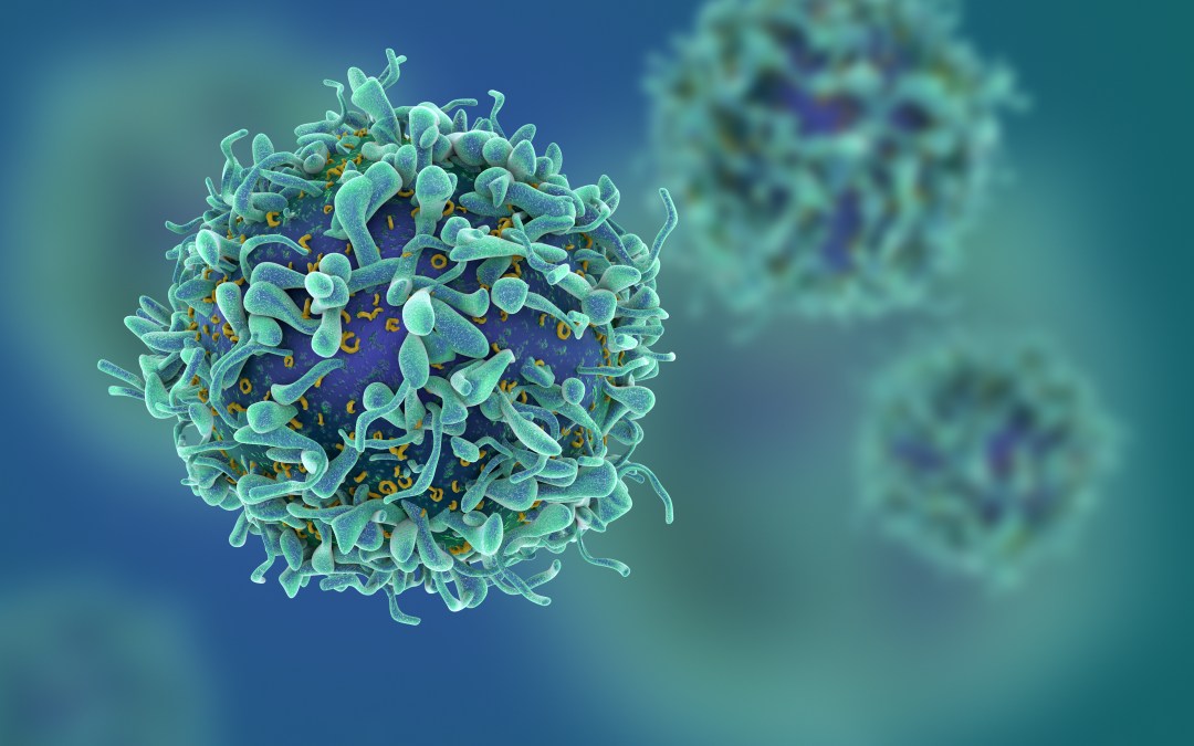 Tired T-cells need TLC to continue fighting cancer