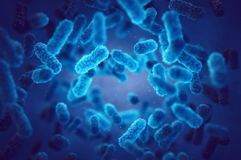 Reports of increasing dangerous pathogen labs