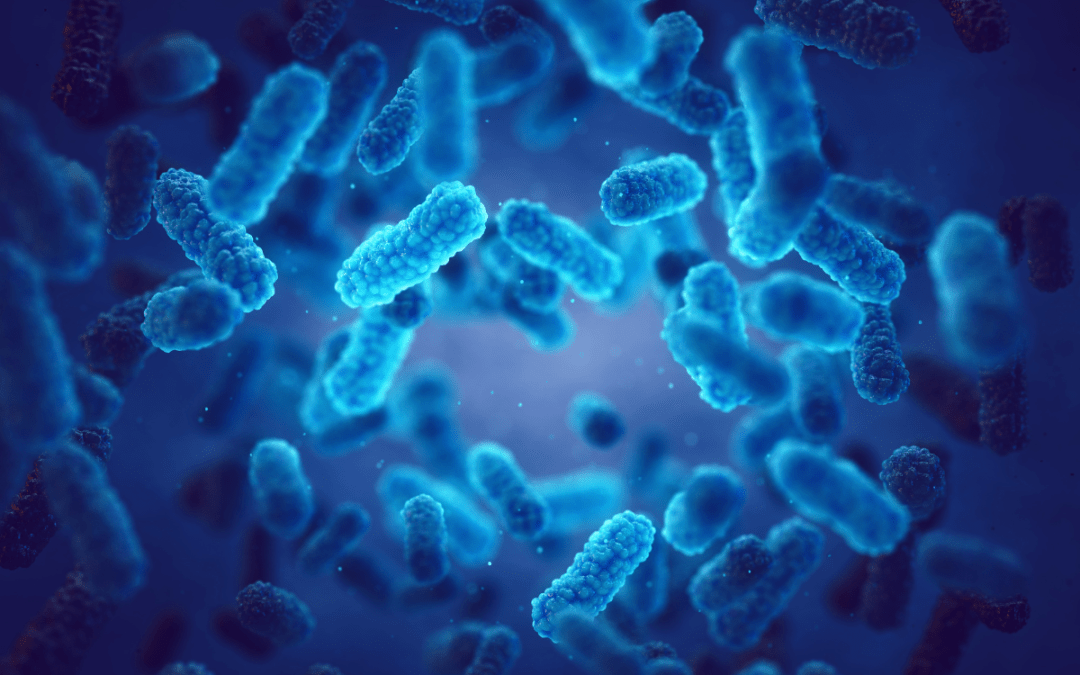 Reports of increasing dangerous pathogen labs