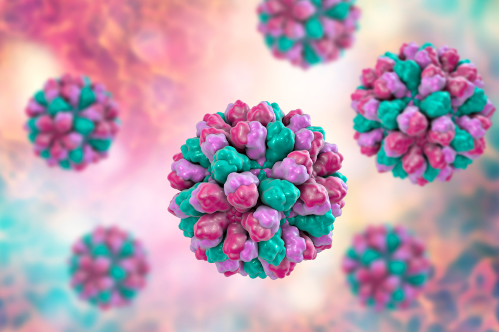 Vaxart announces start of Phase II norovirus trial