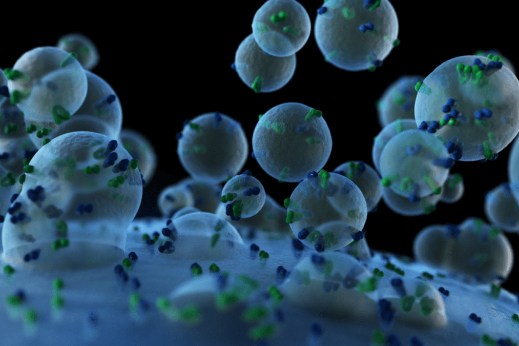 US researchers develop platform for viral pathogens