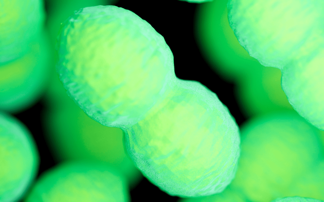 Investigating AMR: 18 new enterococci found in study