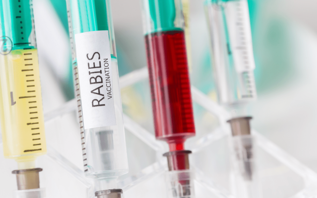 Replicate’s srRNA platform shows promise for rabies