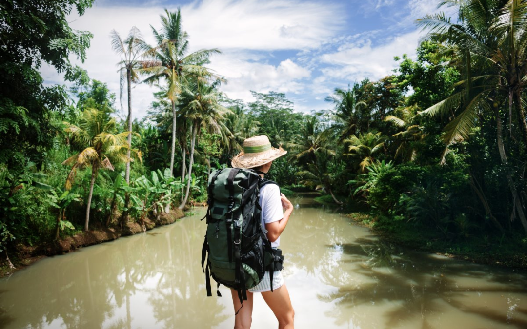 An emerging global health threat: climate change’s impact on infectious diseases