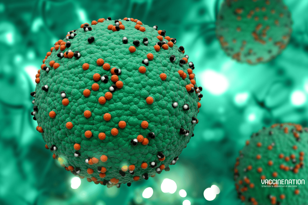 Fighting fusions: a mAb for measles protection efforts