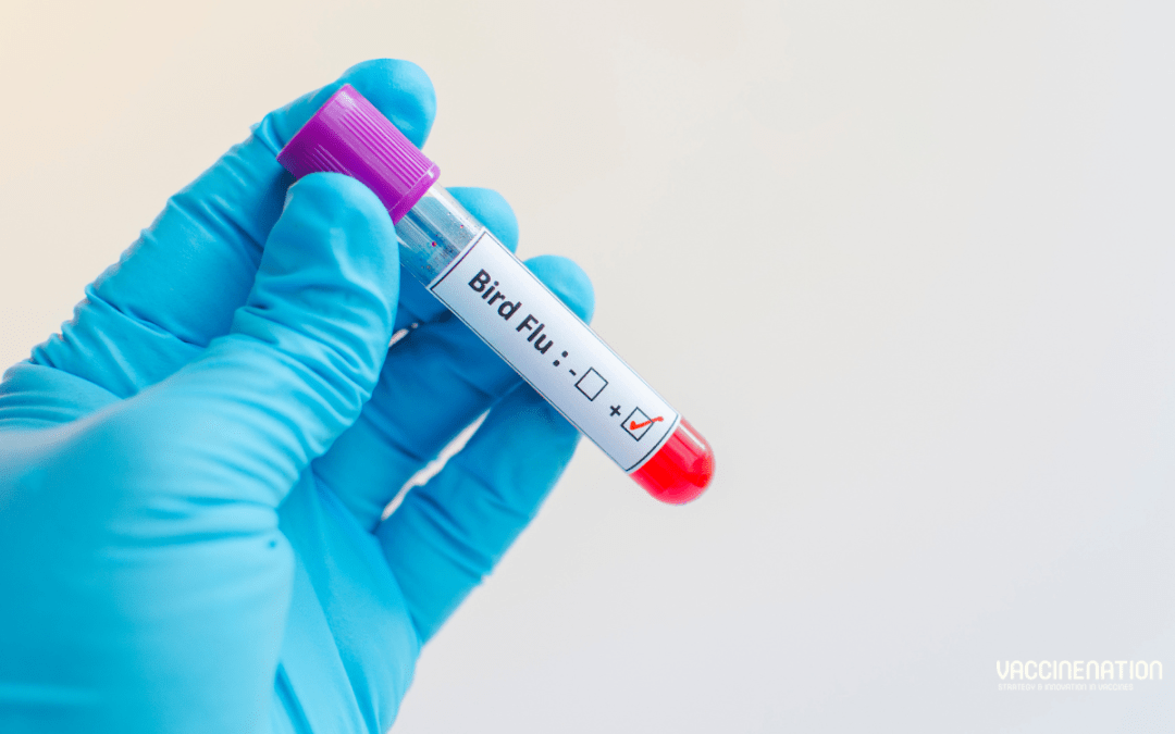 5 human cases of avian influenza identified in Colorado