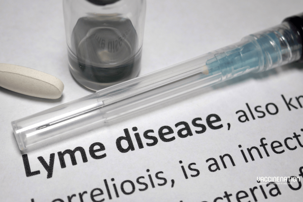 Positive booster data for Valneva and Pfizer Lyme candidate