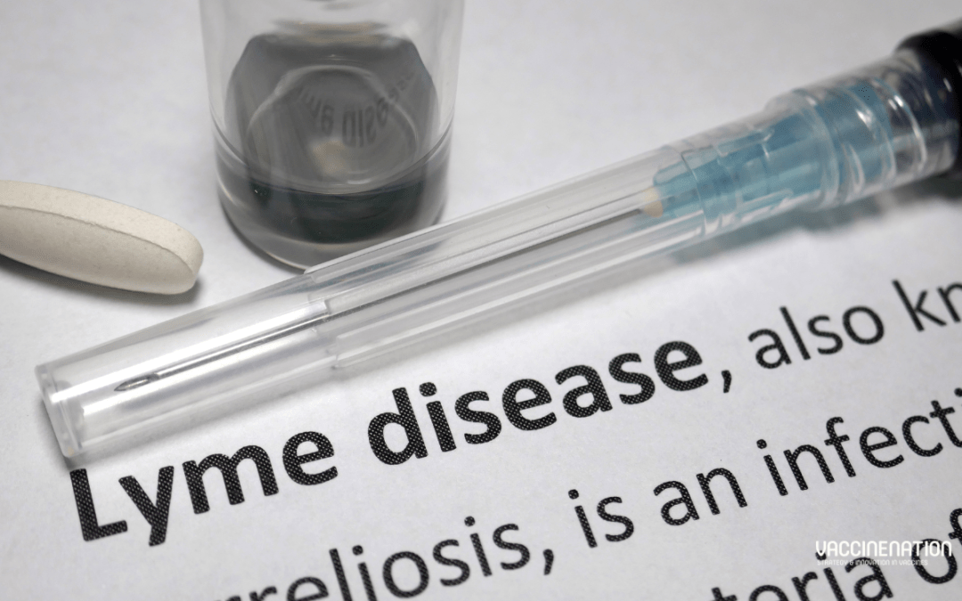 Positive booster data for Valneva and Pfizer Lyme candidate