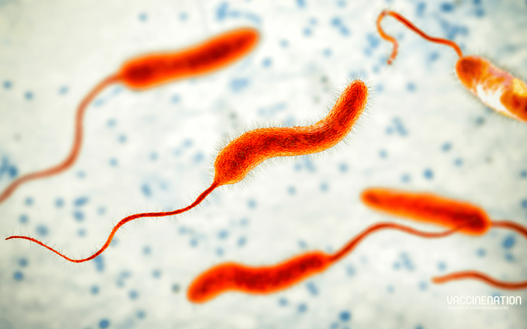 WHO: cholera cases increase and OCV stockpile under pressure