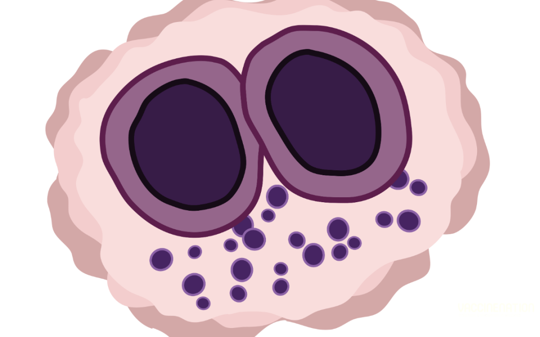 $4.2 million grant supports CMV vaccine development