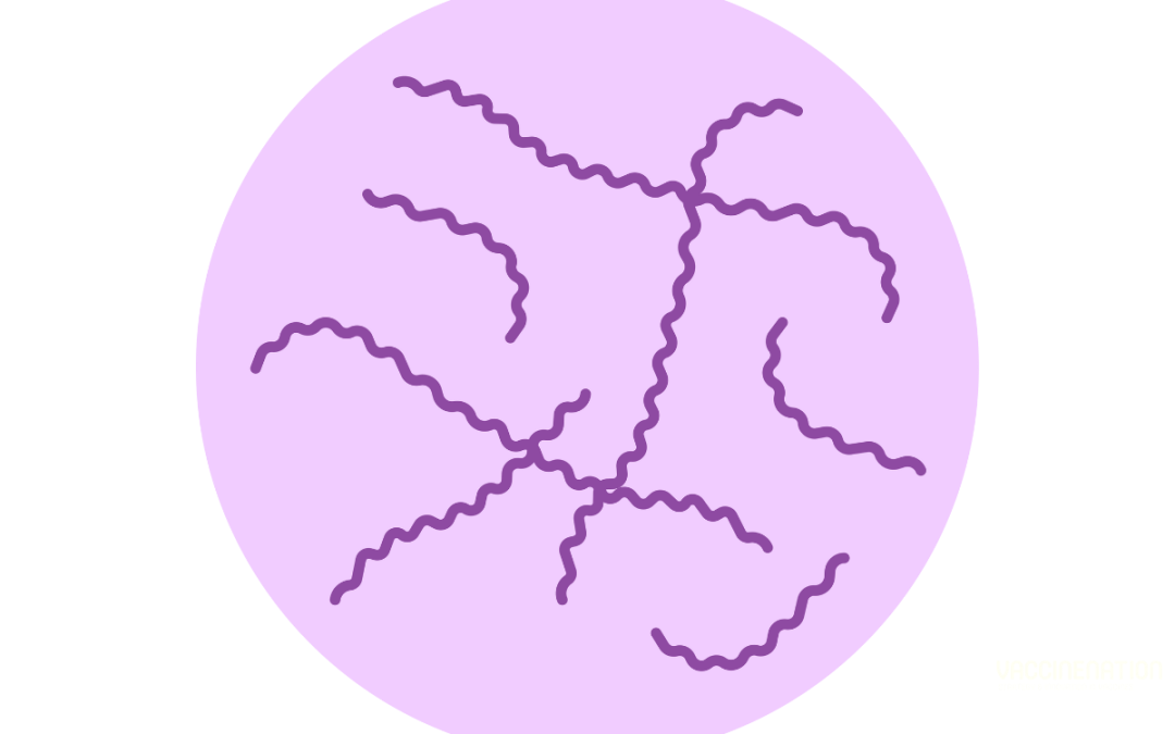 Grant to support leptospirosis vaccine development efforts