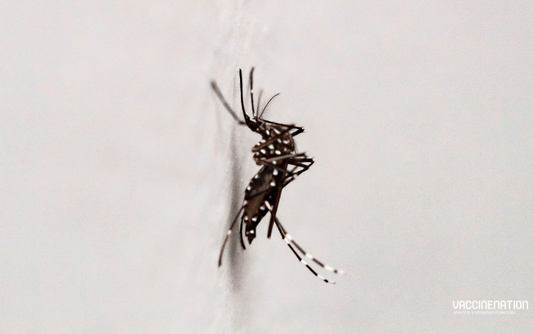 WHO launches SPRP for Aedes-borne arboviruses