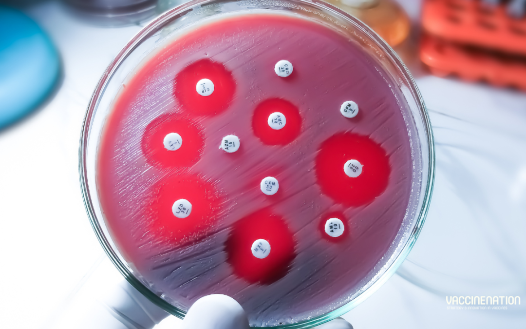 AMR report: vaccines could reduce antibiotics needed by 22%