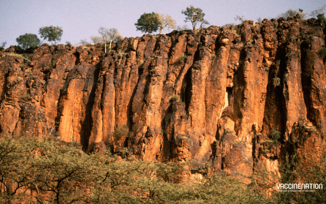 “Promising” Rift Valley vaccine enters Phase II in Kenya