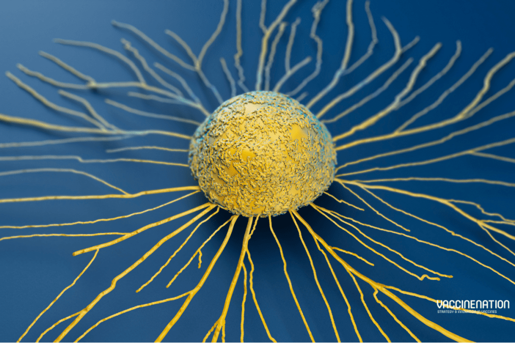 NeoDisc pipeline enables personalised cancer immunotherapy
