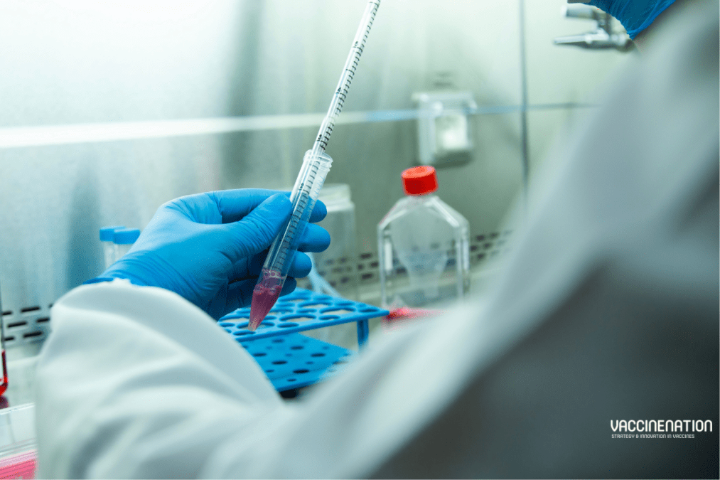 Bacterial vectors for precision cancer vaccine development