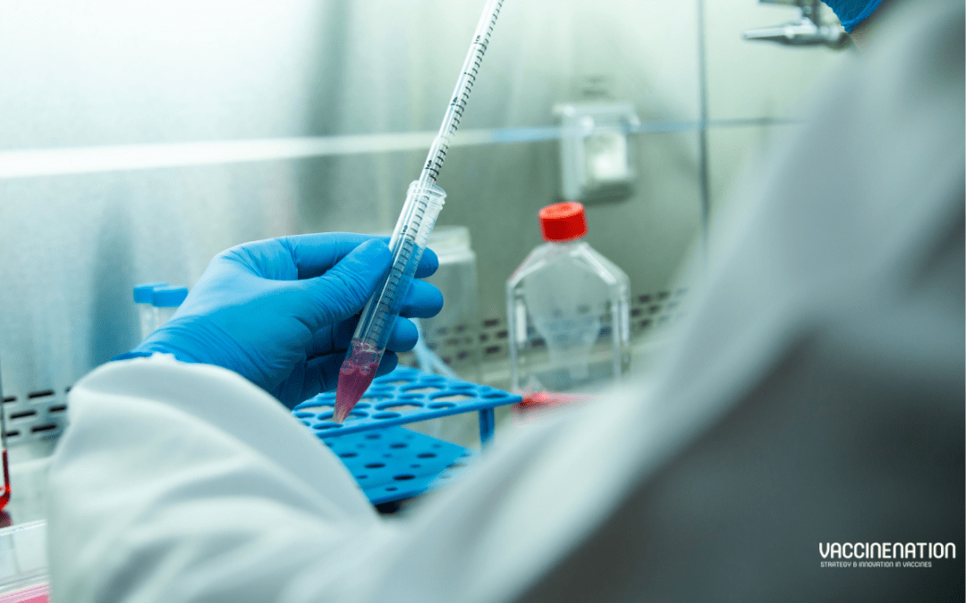 Bacterial vectors for precision cancer vaccine development