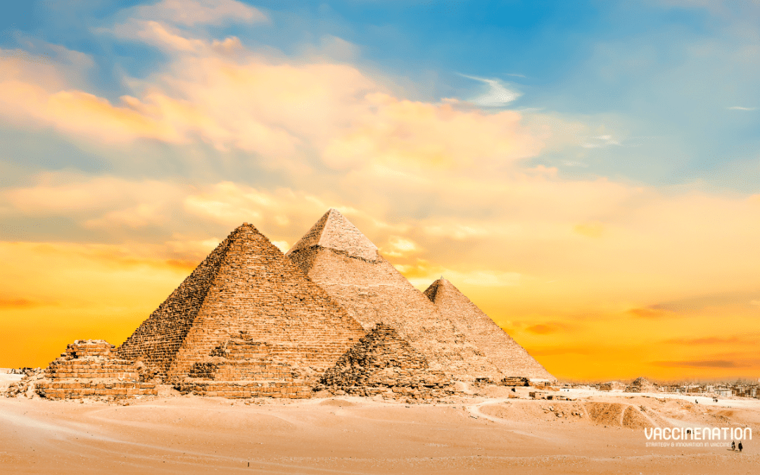 WHO declares Egypt malaria-free after 100-year effort